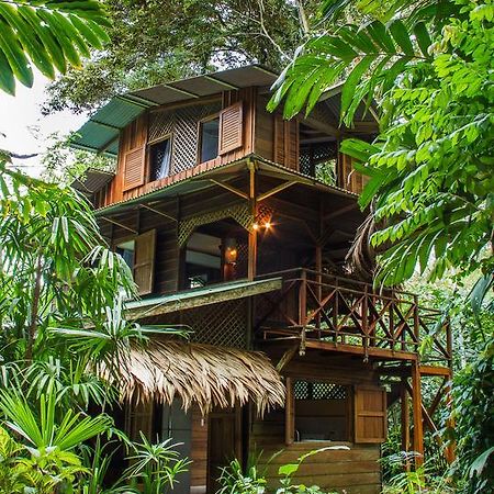Finca Chica Lodge & Villas Puerto Viejo de Talamanca Ruang foto