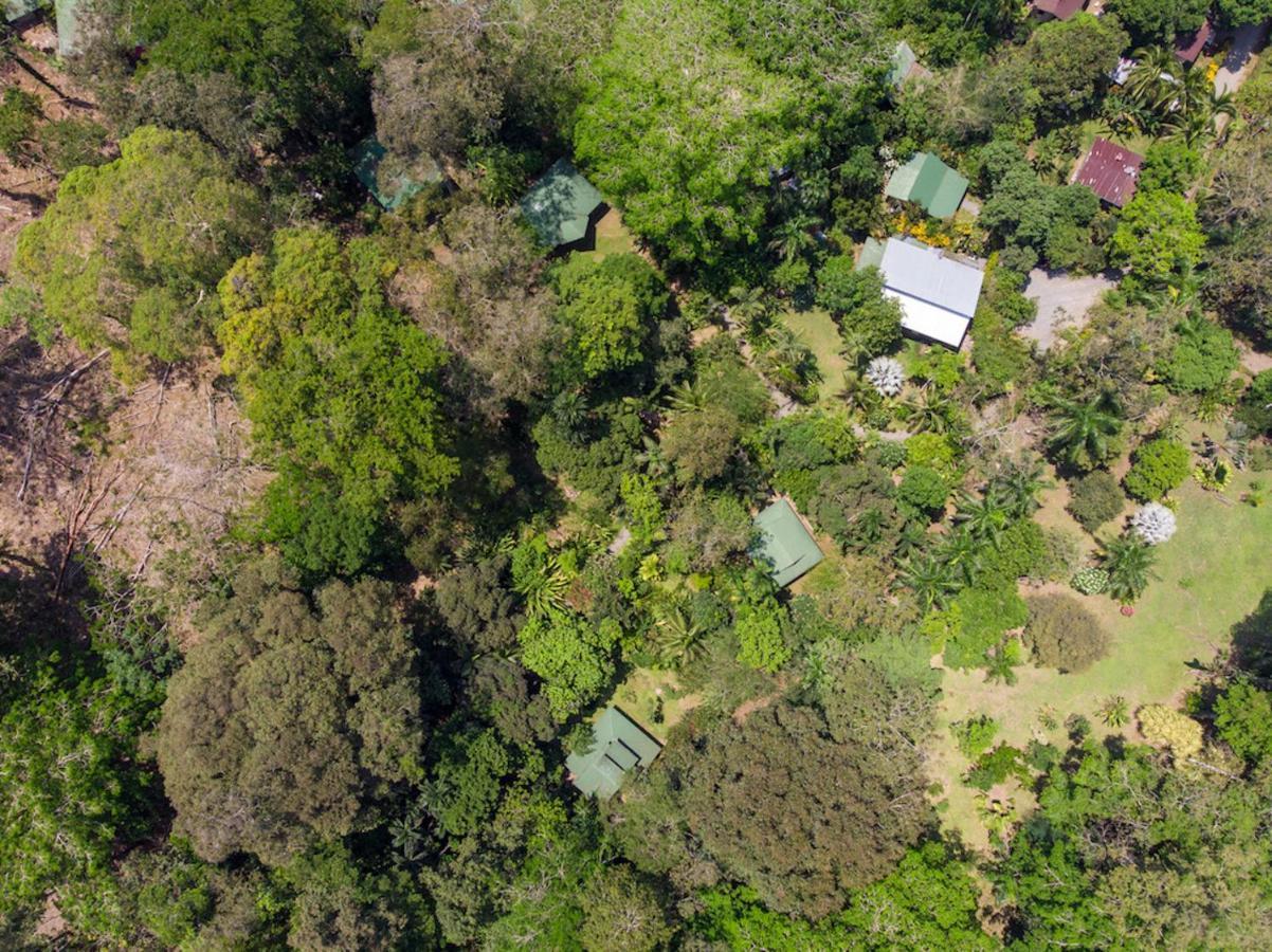 Finca Chica Lodge & Villas Puerto Viejo de Talamanca Bagian luar foto