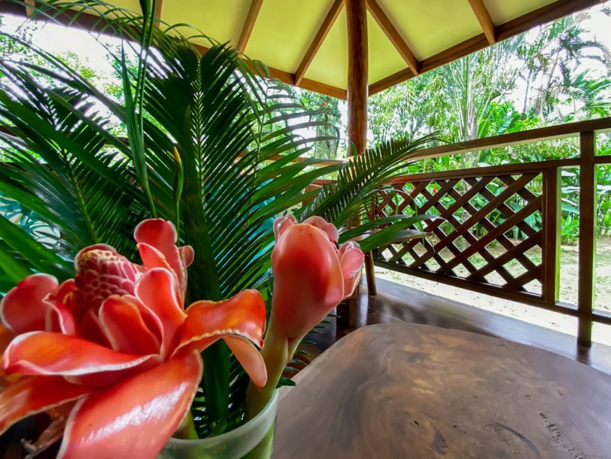 Finca Chica Lodge & Villas Puerto Viejo de Talamanca Bagian luar foto