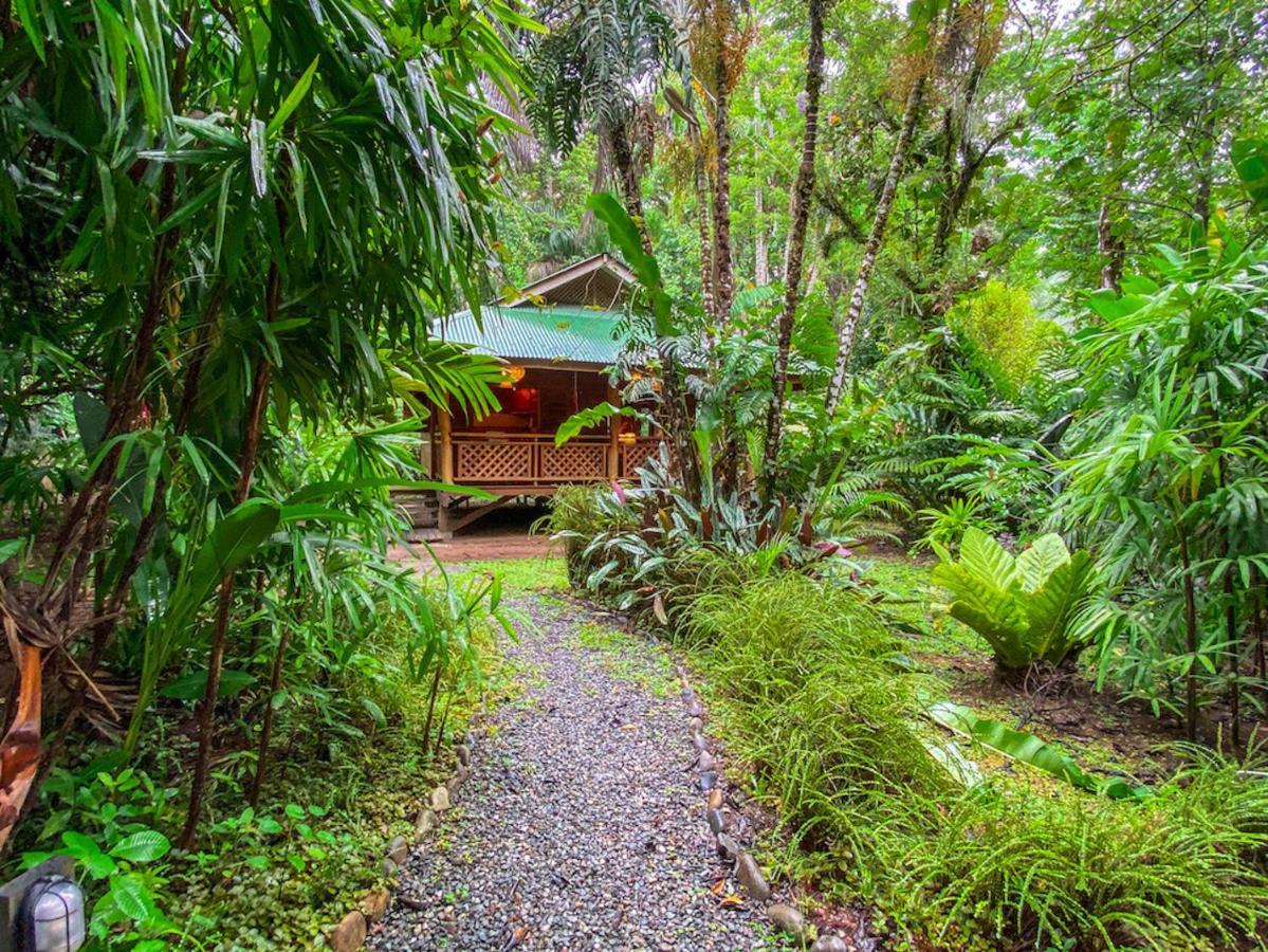 Finca Chica Lodge & Villas Puerto Viejo de Talamanca Bagian luar foto